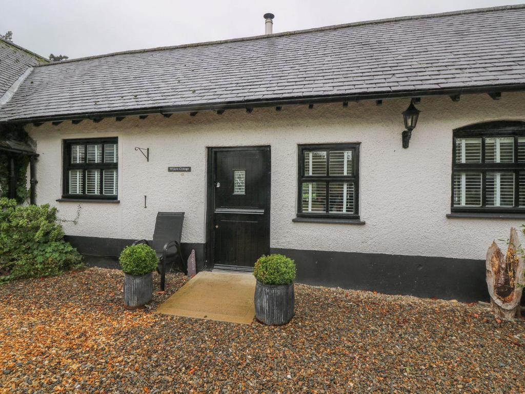 a white house with a black door and two plants at Willow Cottage in Aberystwyth