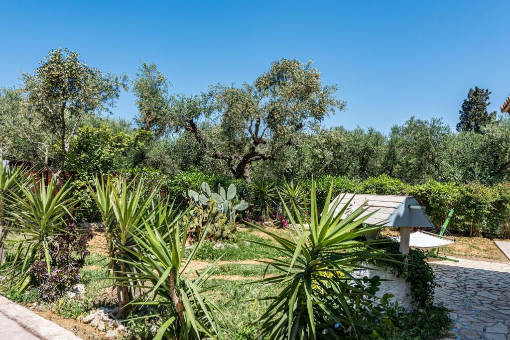 Zahrada ubytování Casa Koukounaria