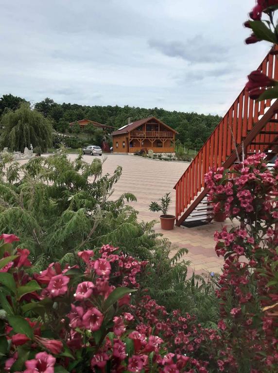 Príroda v okolí apartmánu