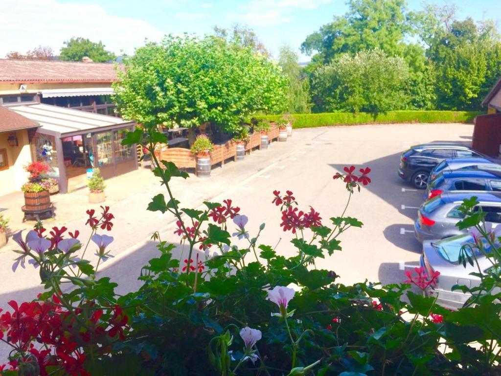 Zahrada ubytování Hotel et Spa du Scharrach