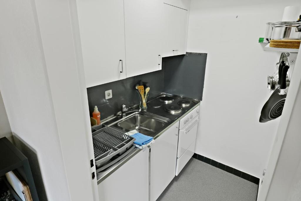 Kuchyň nebo kuchyňský kout v ubytování Nouveau studio avec vue imprenable sur la vallée