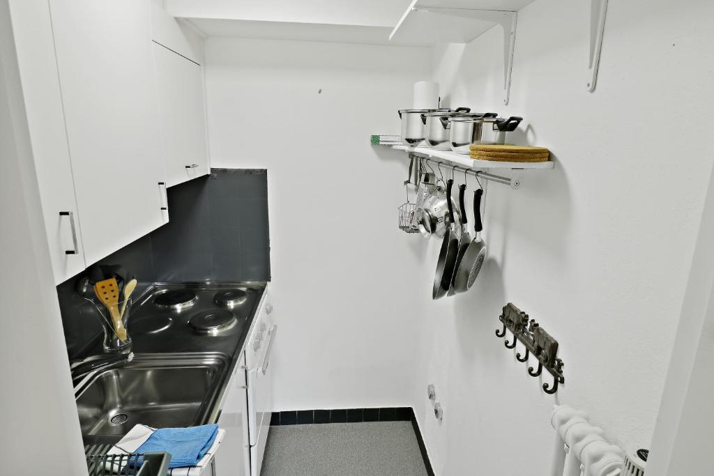 Kuchyň nebo kuchyňský kout v ubytování Nouveau studio avec vue imprenable sur la vallée