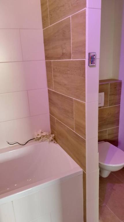 Koupelna v ubytování Apartmány Blatec