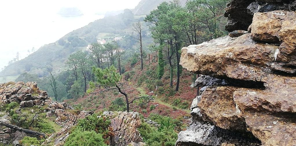 a view of a mountain with trees and rocks at Casa Herbellas in Cedeira