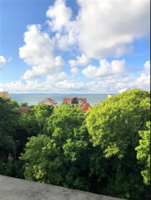 d'un balcon avec vue sur les arbres et l'océan. dans l'établissement Appartement vue sur baie et océan, 100 m de la plage et du centre par chemin privé, à Arcachon