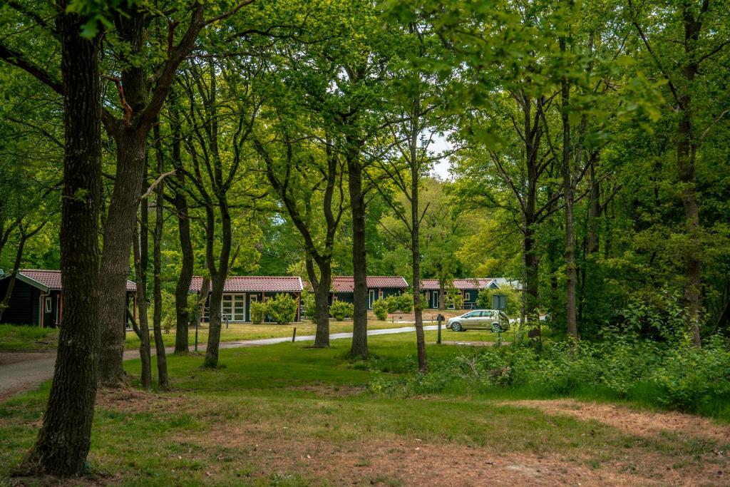 Zahrada ubytování EuroParcs Ruinen