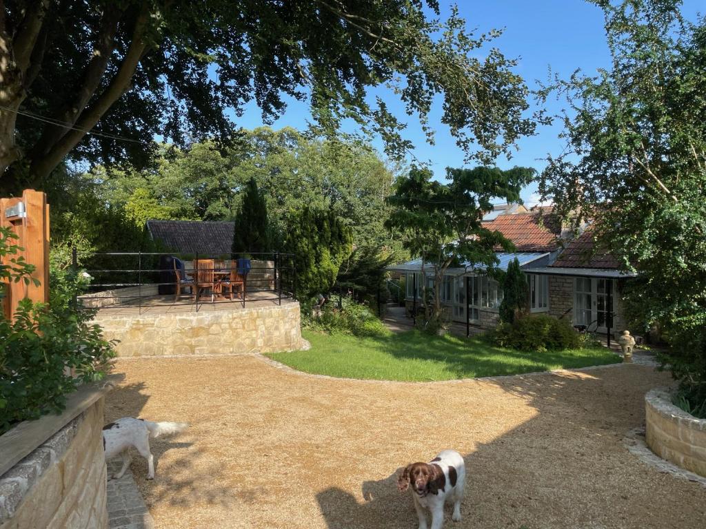 Deux chiens debout dans la cour d'une maison dans l'établissement Gorgeous Country Cottage on outskirts of Bath with Wood Fired Hot Tub, à Midford