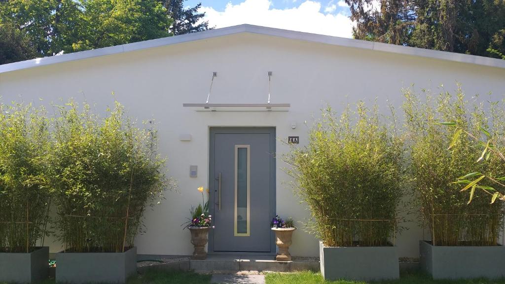 バート・ホンブルク・フォア・デア・ヘーエにあるGartenchalet Rotkehlchenの庭の青い扉のある白い建物