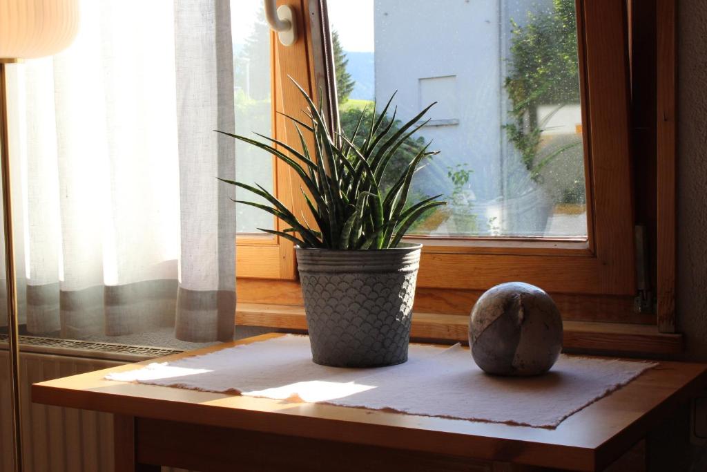 Foto sihtkohas Egg asuva majutusasutuse Studio Maria galeriist