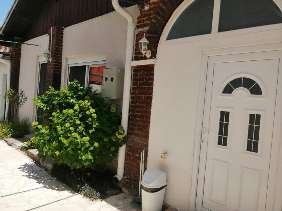 a white door of a house with a bush at Apartment’s Maric - Zelenika,Herceg Novi in Zelenika