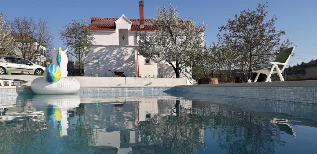 Fotografia z galérie ubytovania House Gaby with pool v destinácii Labin