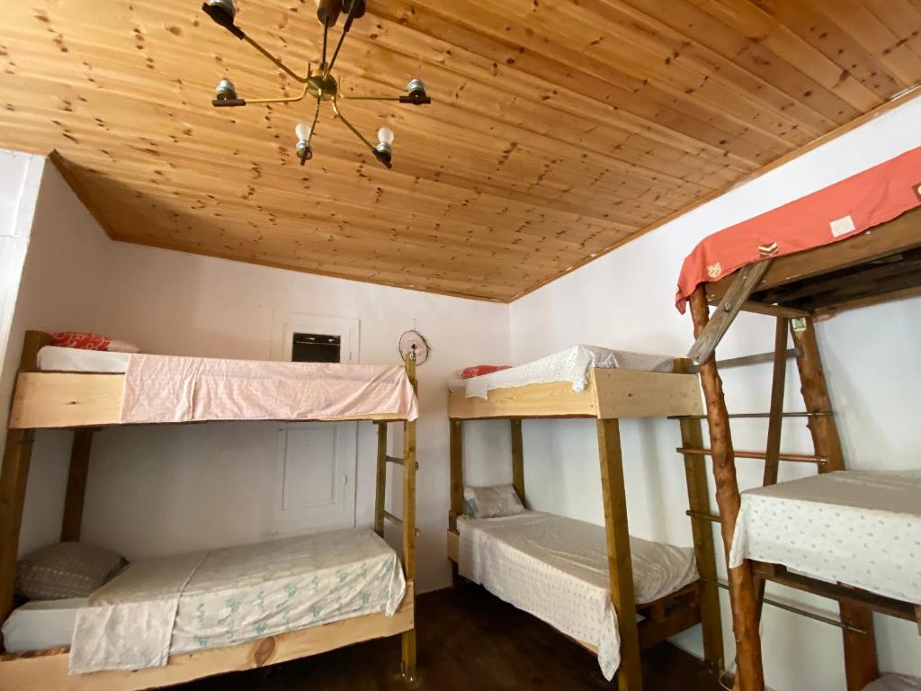 Shotgun Hostel - Image 11