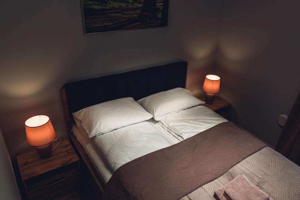 Apartamenty Infores Willa Matejki - 1