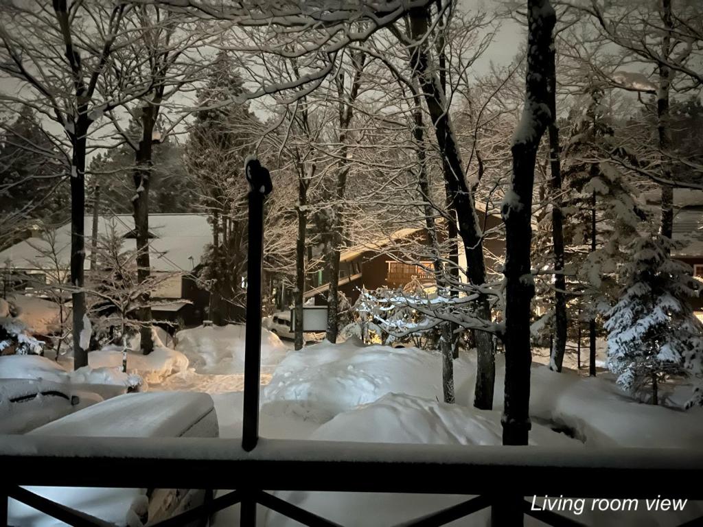 The Guest House Japan Hakuba v zimě