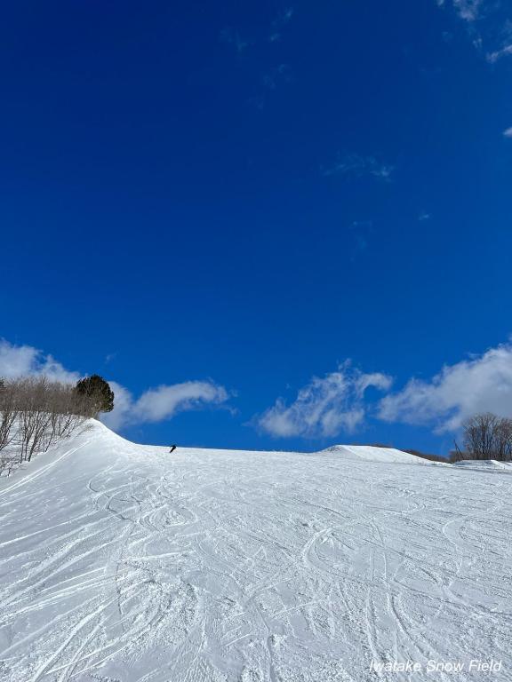 The Guest House Japan Hakuba v zimě