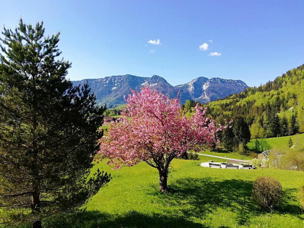 Hotel Heißenhof - 6