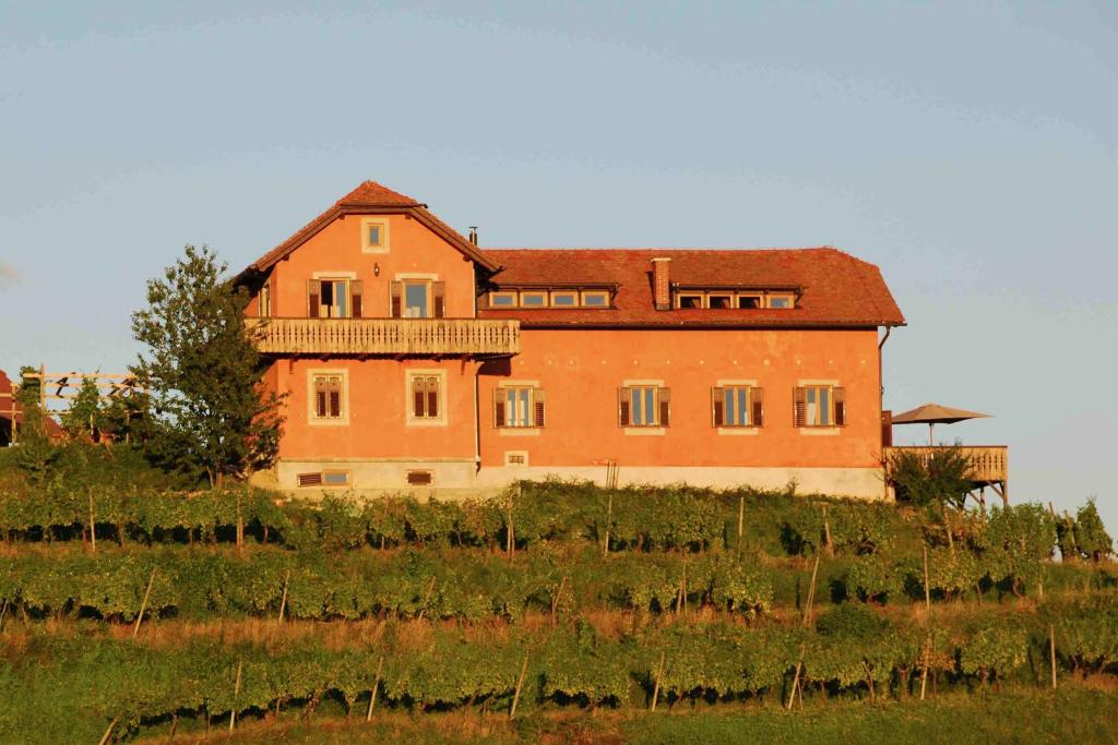 a large house on top of a hill at Hisa Vina in Podlehnik