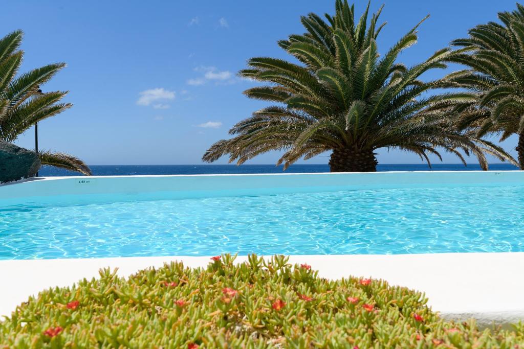 - une piscine avec un palmier et l'océan dans l'établissement Sol Eterno - luxury Aparmtent with direct oceanview and extra services, à Costa Teguise