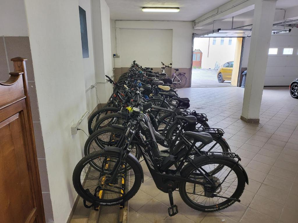 Jízda na kole v ubytování Hotel Raibl e Appartamenti nebo okolí