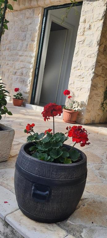Vonkajšia záhrada v ubytovaní Holiday home Jakov