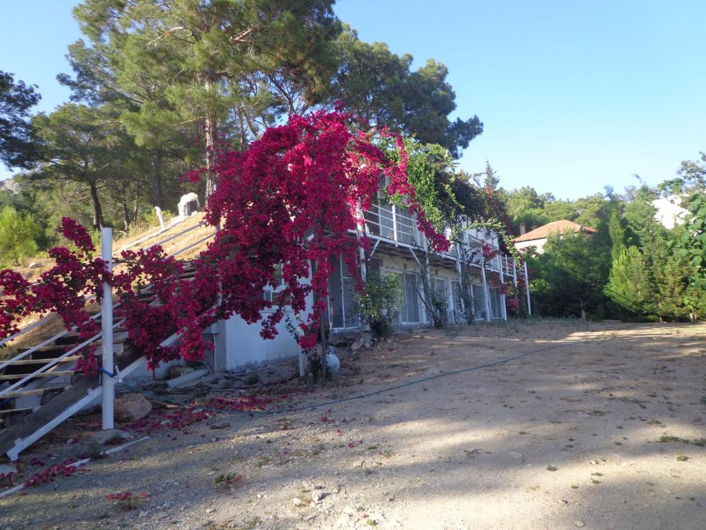 een huis met rode bloemen aan de zijkant bij Farmhill in Yeniceköy