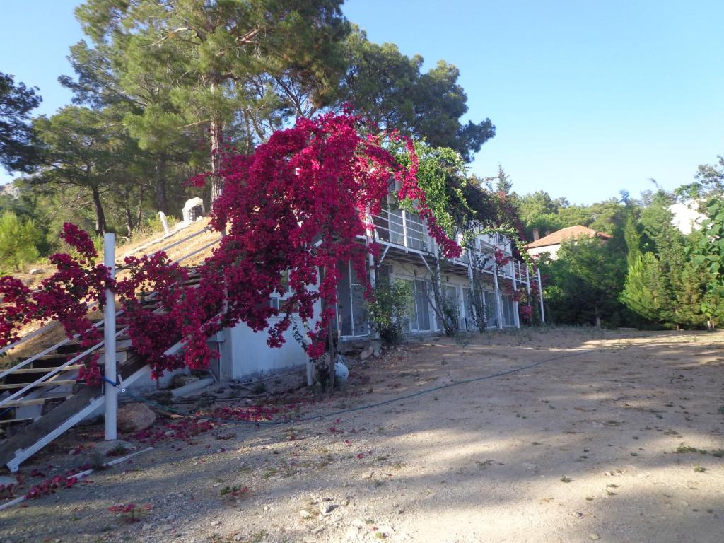 a house with red flowers on the side of it at çiftlik tepesi pansiyon in Kumluca