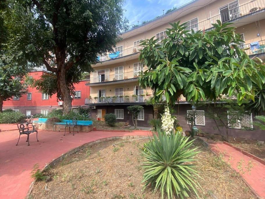 budynek z dziedzińcem z ławkami i drzewem w obiekcie CRISPI 74.1 - Apartment w mieście Neapol
