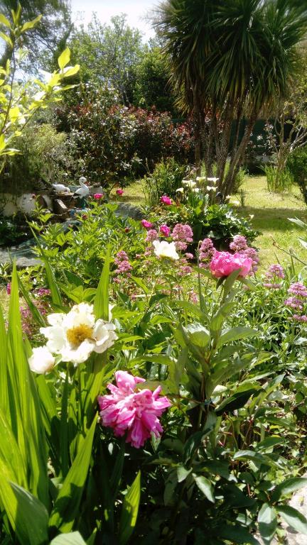 Ogród w obiekcie Rendez-vous au soleil de Provence - gite 4 personnes 80m2 - coin jardin - climatisation