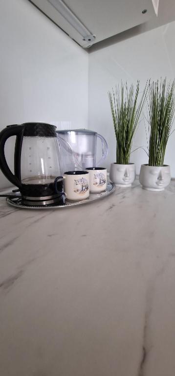 Kuchyňa alebo kuchynka v ubytovaní Apartamenty Hexagon nr 25