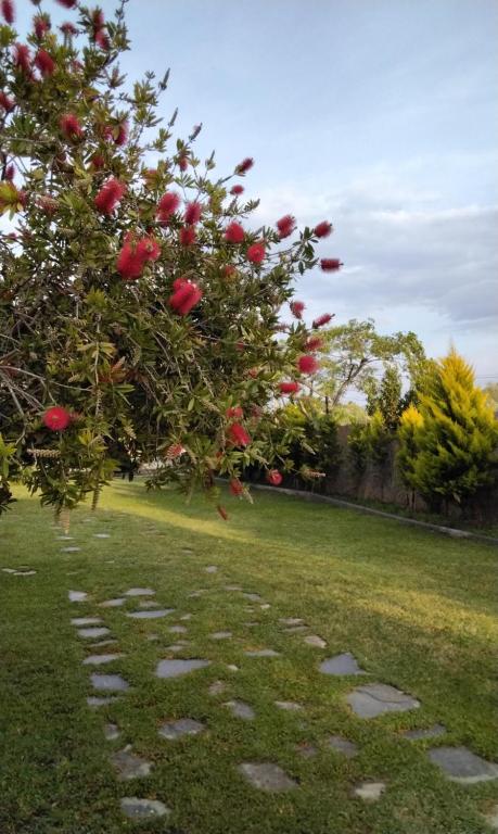 A garden outside Elia by the sea