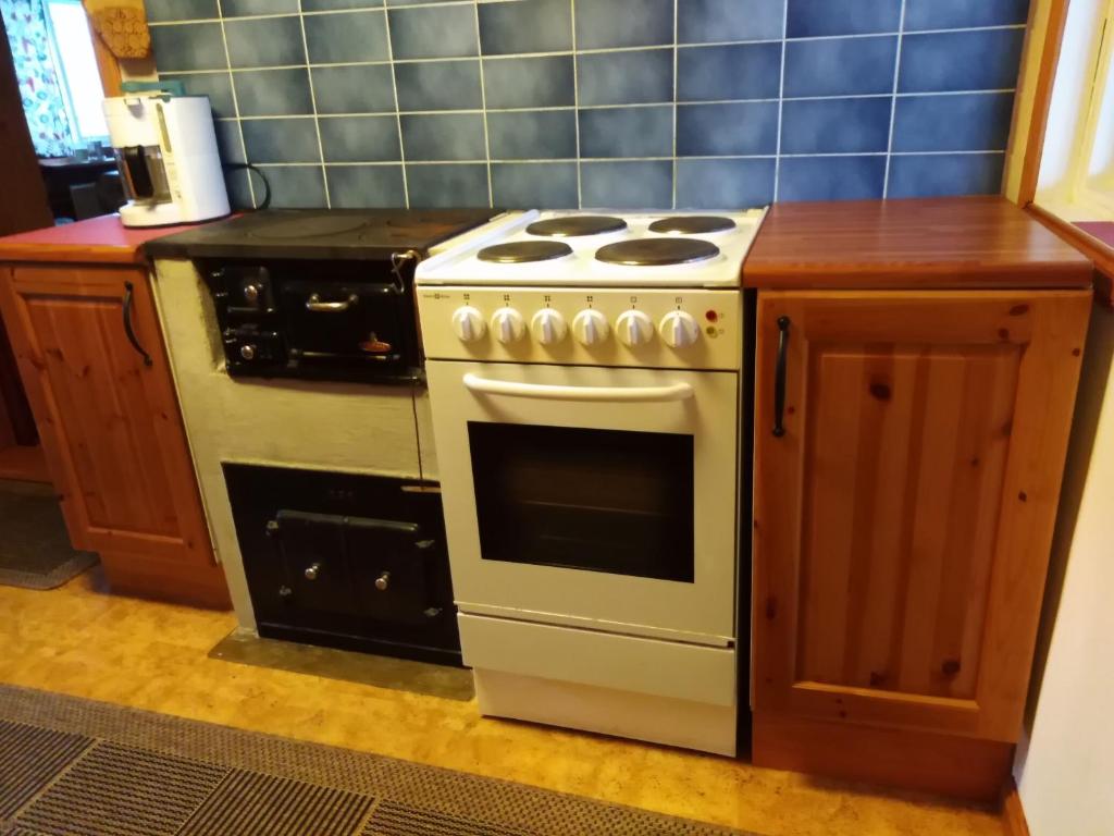 a kitchen with a stove and a counter with a counter at Mysig stuga i Vasaloppsbyn Evertsberg in Älvdalen