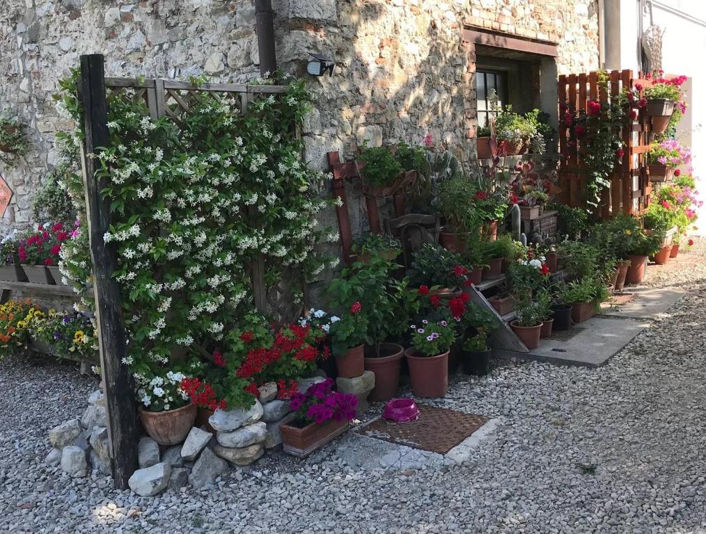 Zahrada ubytování Residenza San Matteo