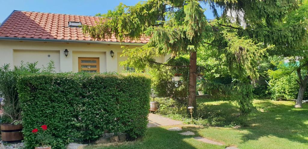 Vonkajšia záhrada v ubytovaní Füred Deluxe Garden Apartment