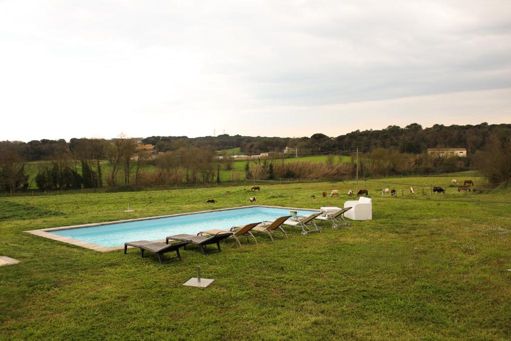 ein Pool mit Stühlen und eine Person, die daneben sitzt in der Unterkunft Mas Goy, casa rural con piscina in Girona