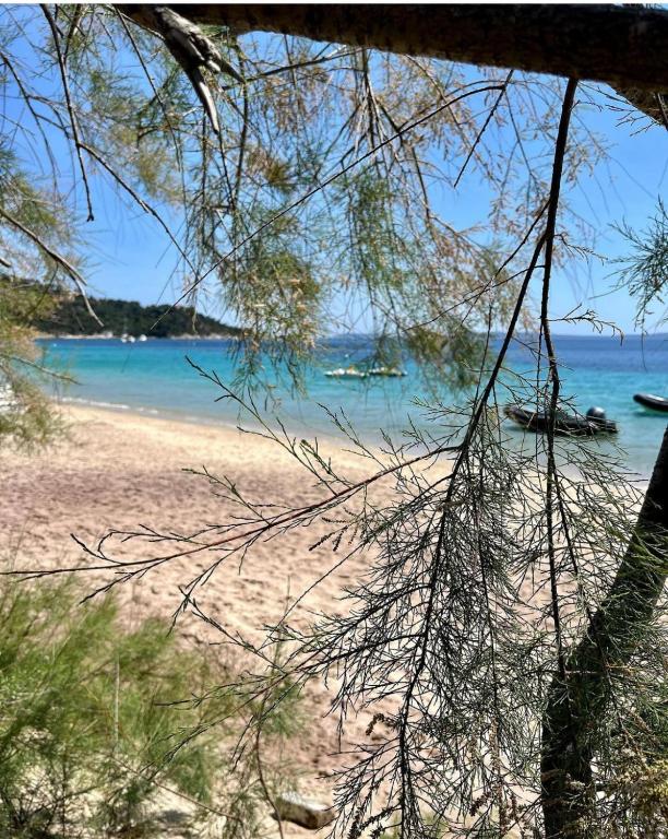 Fotografia z galérie ubytovania Le Lavandou "Cavalière" -Rez de jardin bord de mer , ATOM v destinácii Le Lavandou