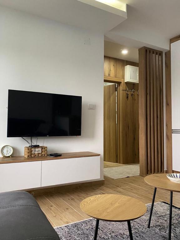 TV a/nebo společenská místnost v ubytování Apartman 13