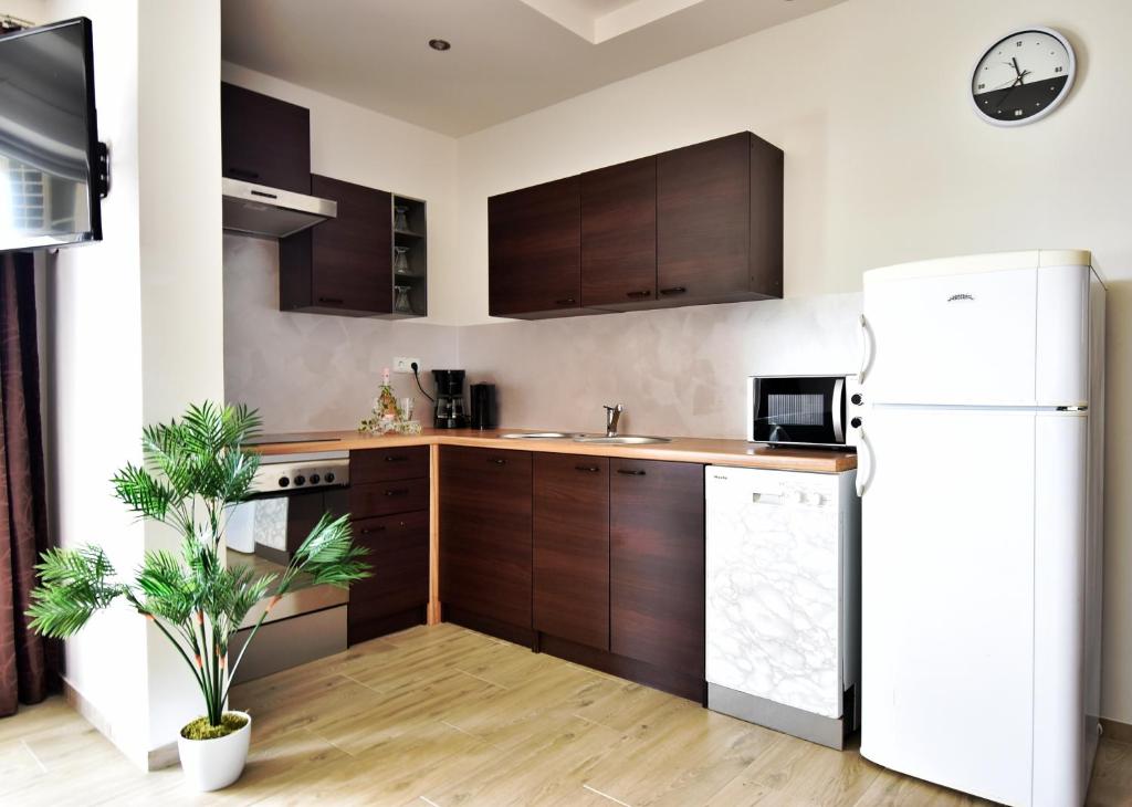 Kuchyňa alebo kuchynka v ubytovaní Apartmani Solis
