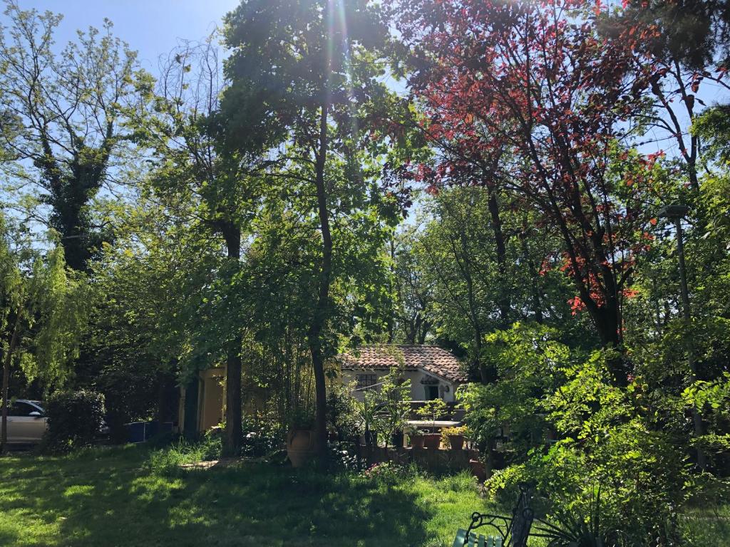 A garden outside Casale del monte, Pesaro