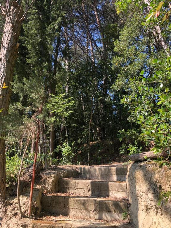 Kép Casale del monte, Pesaro szállásáról Pesaróban a galériában
