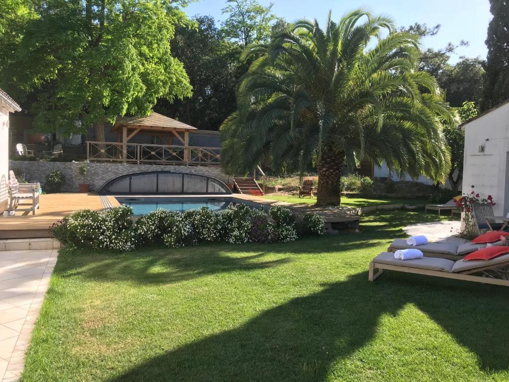 un patio con una piscina y una palmera en LA MAISON DE LA DUNE - Jacuzzi 1ère séance offerte - Piscine chauffée avec Abri Amovible - Plage située à 200m, accès direct par le bois en La Couarde-sur-Mer