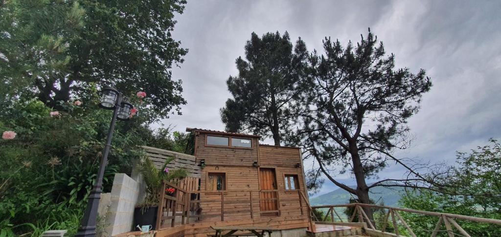 Táj Show holiday homes közelében