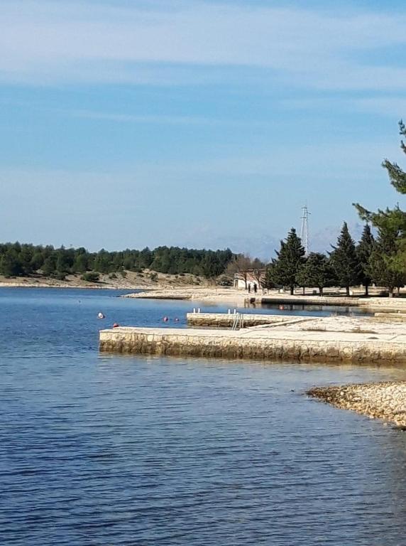 a beach with a pier in the water at Apartments Punta in Kruševo