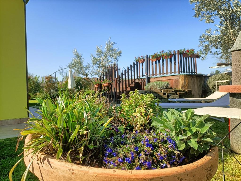 La Casina di Campagna - Apartamento De 2 Quartos