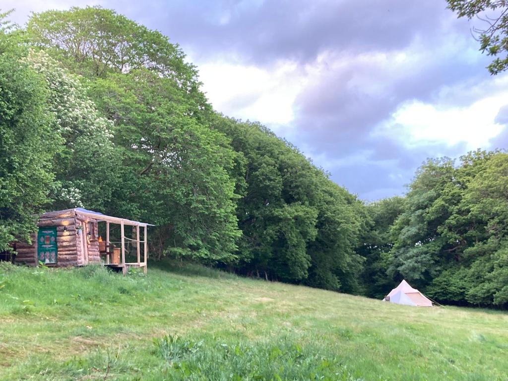Remote Cabin & 3 Giant Tents Retreat في أبرجيل: منزل خشبي صغير في حقل مع خيمة