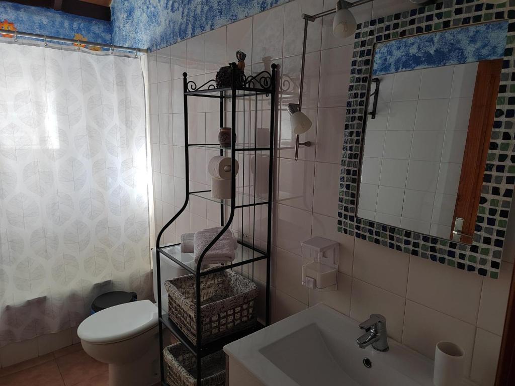 bagno con servizi igienici, lavandino e specchio di Mirador Vista Palacios a San Sebastián de la Gomera