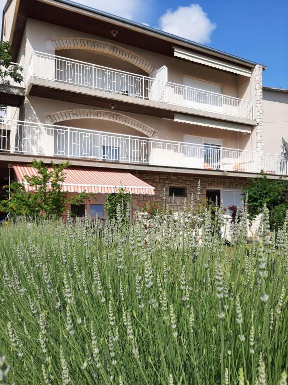a building with a field of white flowers in front of it at Apartment Lucija in Dramalj