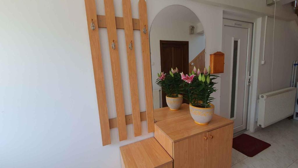 Fotografia z galérie ubytovania Apartment in Zamardi - Balaton 20348 v Zamarádi