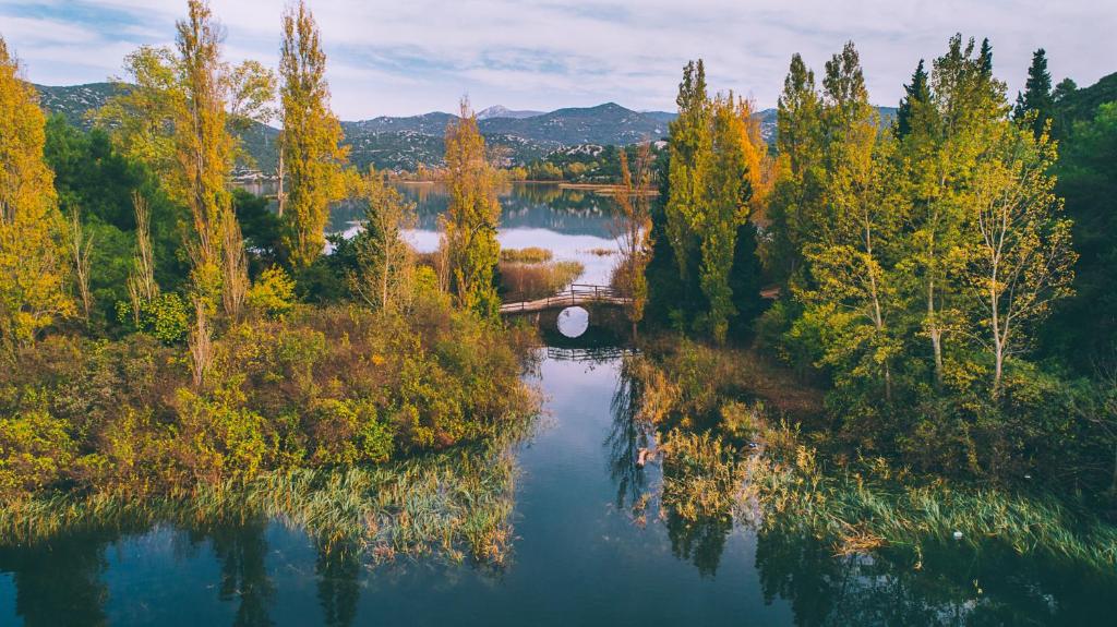 Príroda v okolí apartmánu