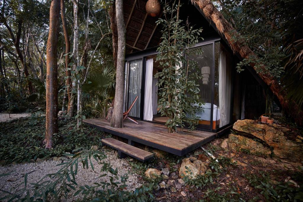 Zahrada ubytování Kapok Bacalar - Plant Based Hotel