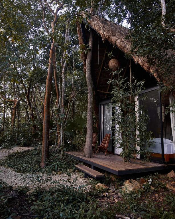 Zahrada ubytování Kapok Bacalar - Plant Based Hotel